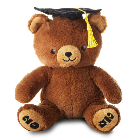 2024 Graduation Bear Plush, 8.5