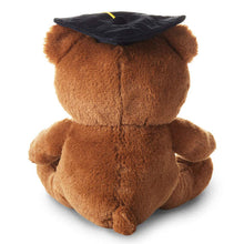 Load image into Gallery viewer, 2024 Graduation Bear Plush, 8.5&quot;
