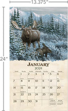 Load image into Gallery viewer, Beyond The Woods - 2024 Lang Wall Calendar
