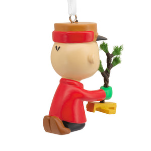 Peanuts® Charlie Brown Kneeling With Tree Hallmark Ornament