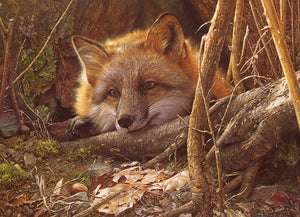 A Touch Of Warmth - 500 Piece Puzzle by Cobble Hill