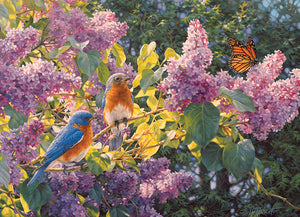 Spring Interlude - 500 Piece Puzzle by Cobble Hill