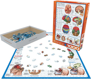 The Brain - 1000 Piece Puzzle by EuroGraphics - Hallmark Timmins