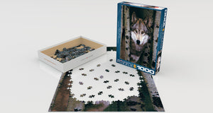 Grey Wolf - 1000 Piece Puzzle by EuroGraphics
