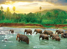 Load image into Gallery viewer, Save Our Planet -Rainforest - 1000 Piece Puzzle by EuroGraphics
