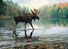 Load image into Gallery viewer, &quot;Moose Crossing&quot; - 1000 Piece Cobble Hill Puzzle
