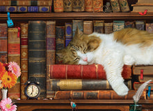 Load image into Gallery viewer, The Cat Nap - 500 Piece Puzzle by EuroGraphics
