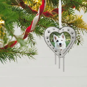 Forever in Our Hearts Metal Photo Frame Pet Memorial Ornament