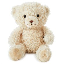 Load image into Gallery viewer, Be There When You Can’t Recordable Bear Stuffed Animal, 10”
