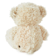 Load image into Gallery viewer, Be There When You Can’t Recordable Bear Stuffed Animal, 10”
