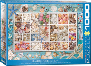 Seashell Collection - 1000 Piece Puzzle by EuroGraphics - Hallmark Timmins
