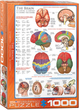Load image into Gallery viewer, The Brain - 1000 Piece Puzzle by EuroGraphics - Hallmark Timmins

