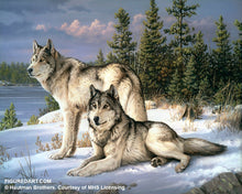 Load image into Gallery viewer, Figured&#39;Art Painting by Numbers - Wolves Rolled Kit
