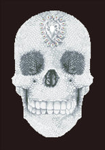 Load image into Gallery viewer, Diamond Dotz Crystal Skull
