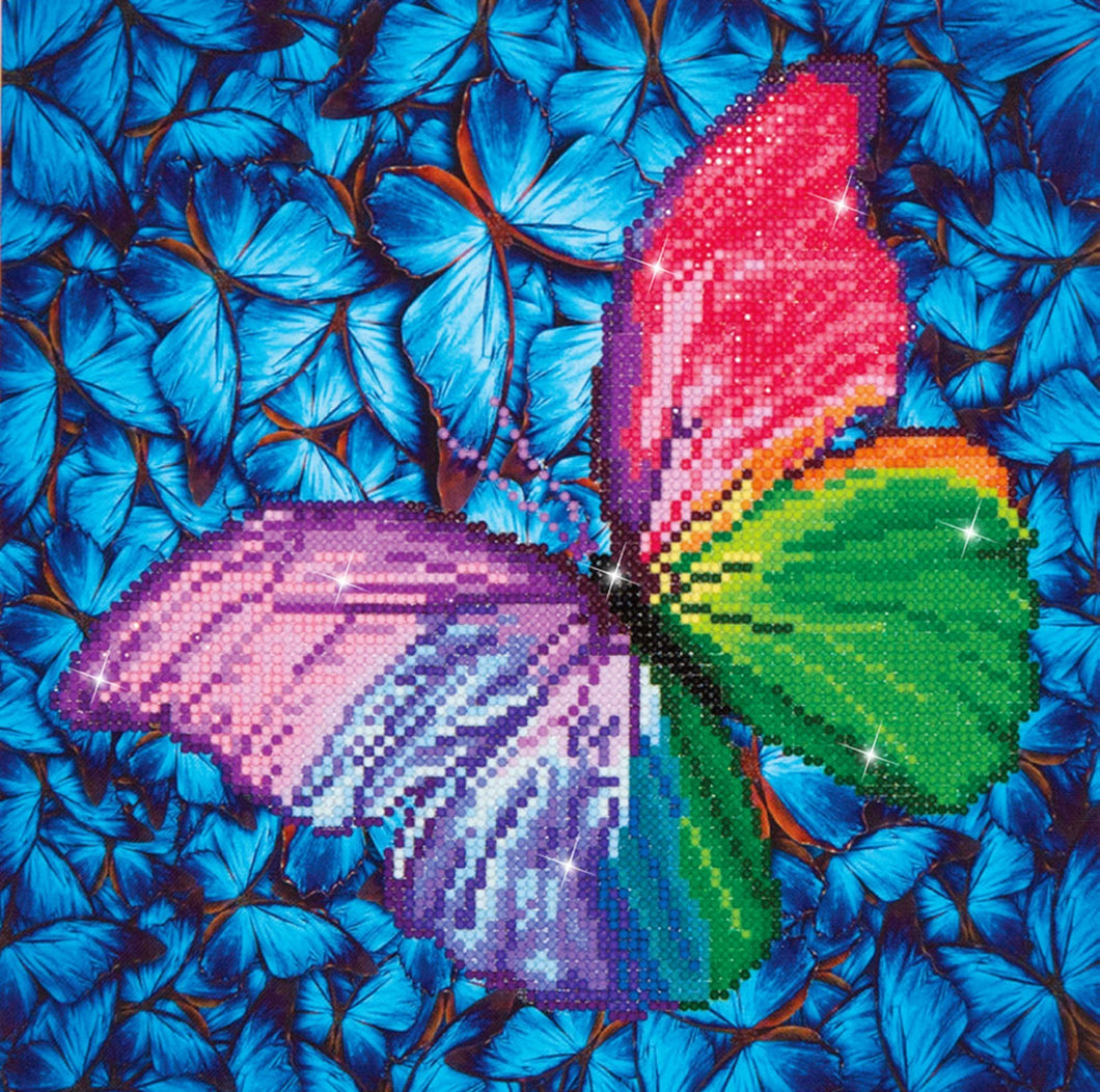 Flutter by Pink - Diamond Dotz