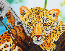 Load image into Gallery viewer, Diamond Dotz Leopard Look
