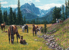 Load image into Gallery viewer, Horse Meadow - 1000 Piece Puzzle by Cobble Hill
