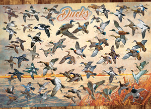 Ducks of North America - 1000 Piece Puzzle by Cobble Hill