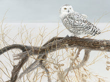 Load image into Gallery viewer, Fallen Willow - 500 Piece Puzzle by Cobble Hill

