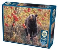 Load image into Gallery viewer, Den Dreams - 500 Piece Puzzle by Cobble Hill
